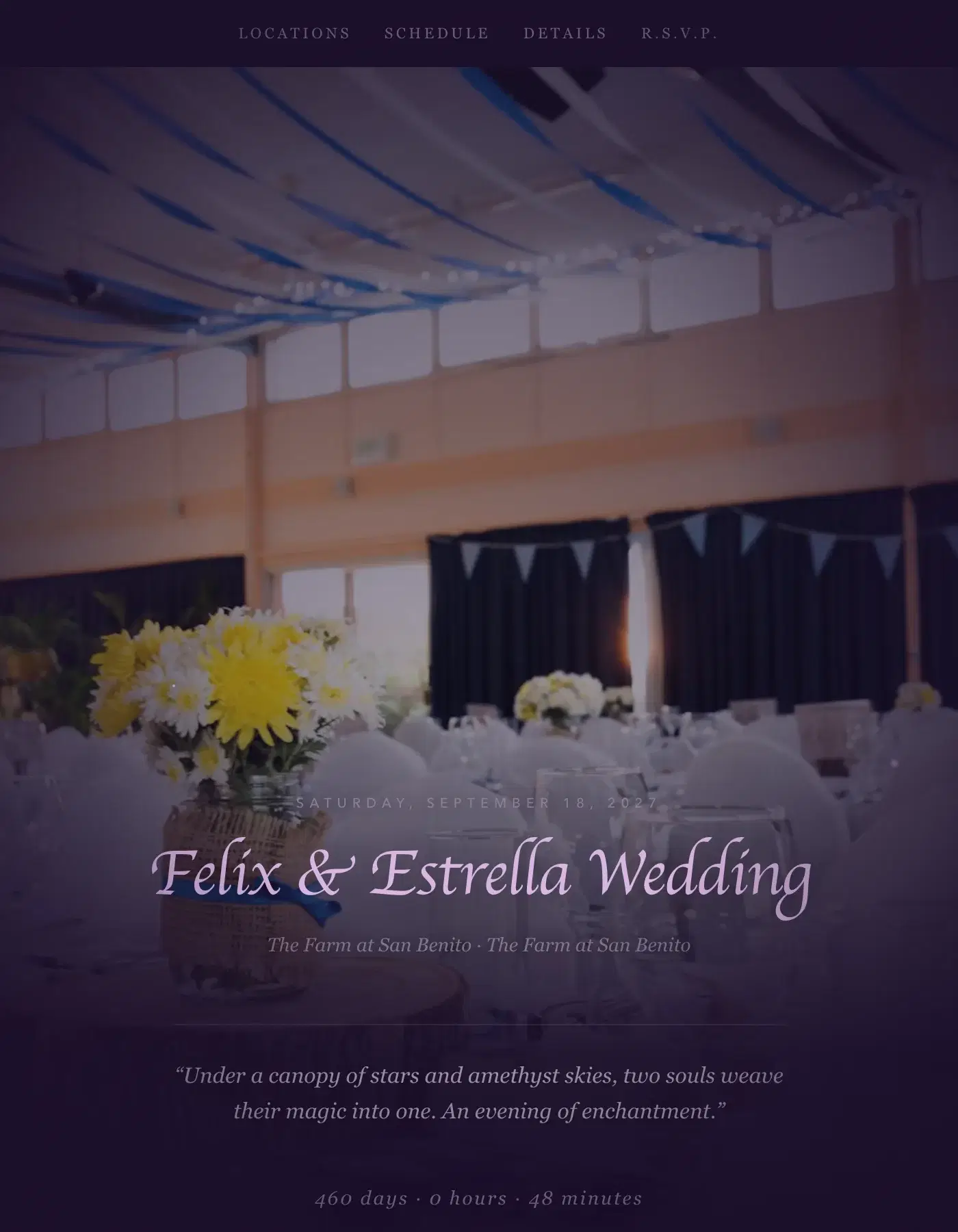 Magical sample invitation for Felix & Estrella